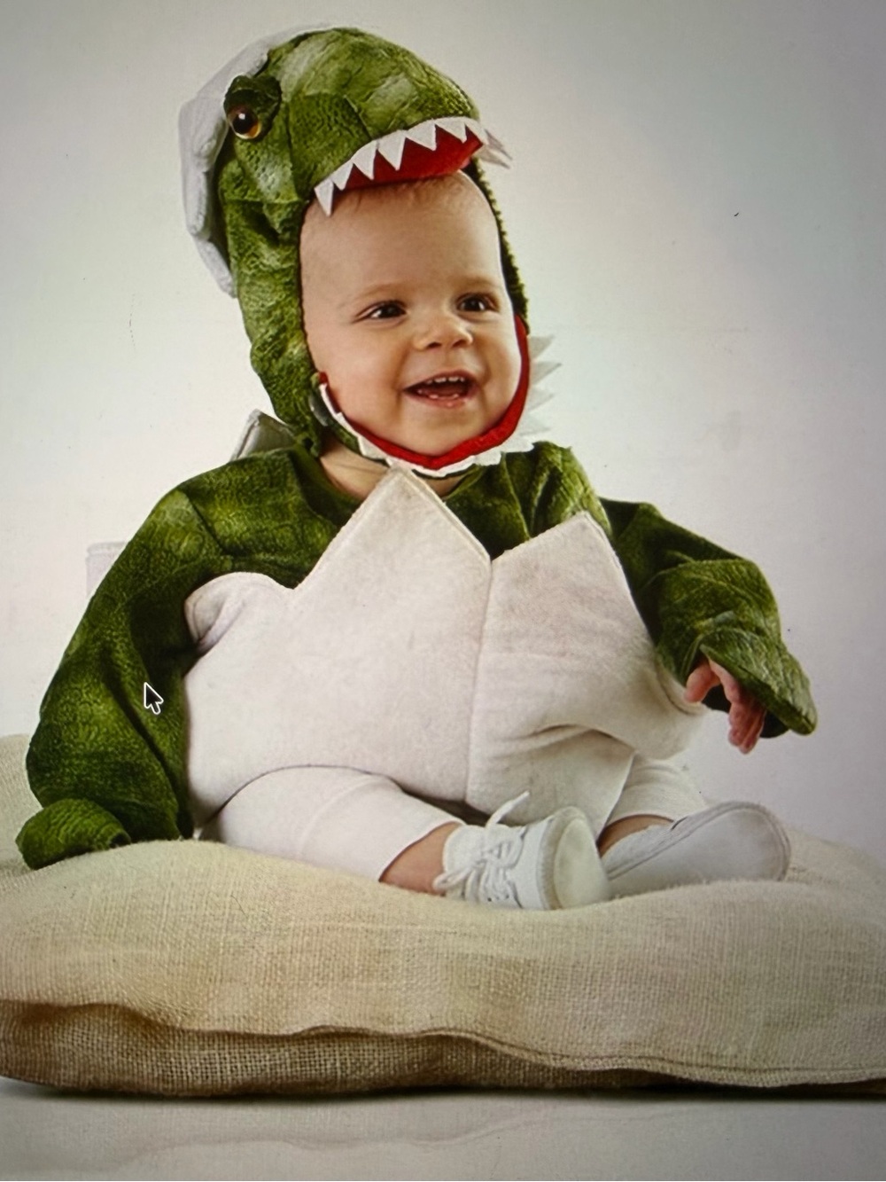 Pottery Barn Dinosaur Egg Baby Costume 12-24 months